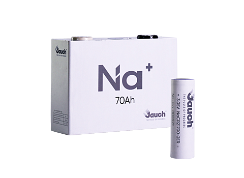 Sodium Ion Batteries